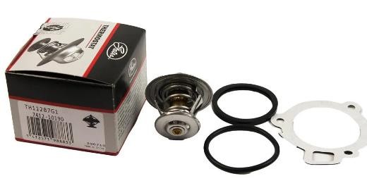 Термостат,охлаждающая жидкость